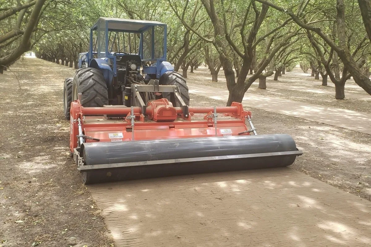 Muratori tiller with rear roller finishing the floor of a California almond orchard