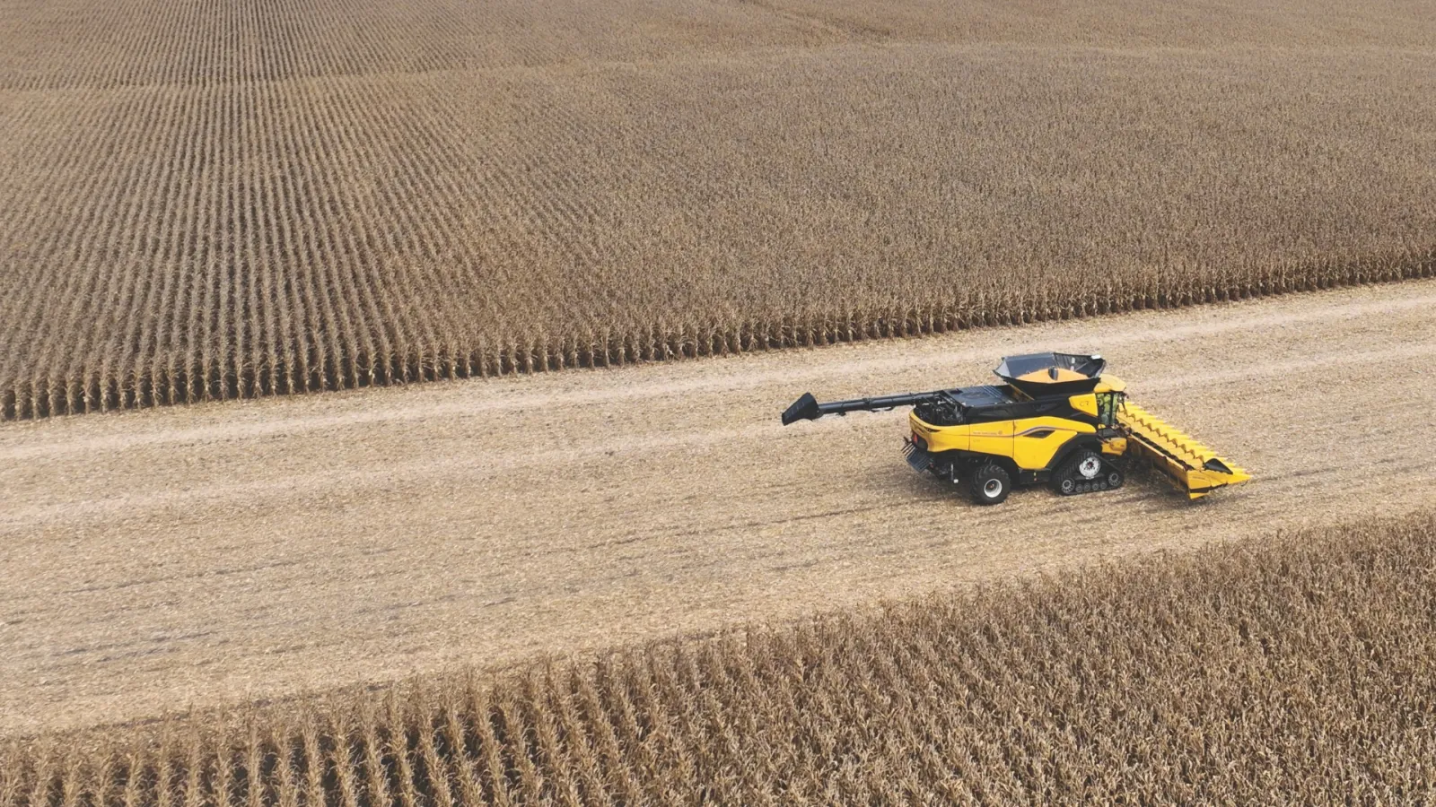 Representative New Holland 9200 Series corn head harvesting corn